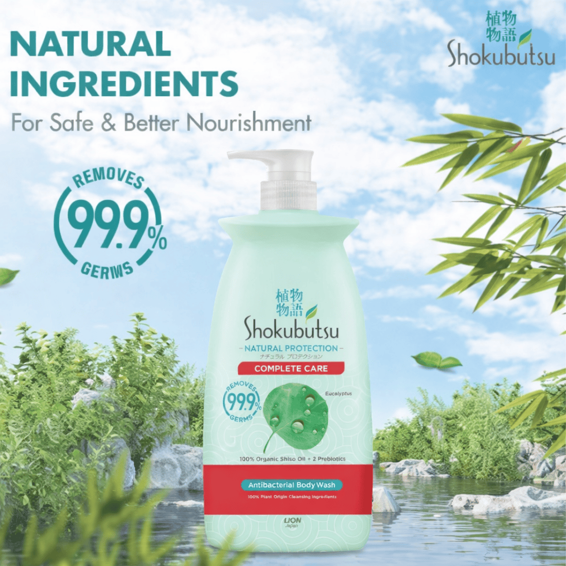 Sustainable Solutions